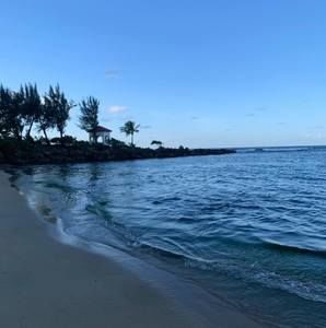 Meet your Posher, Dalimar